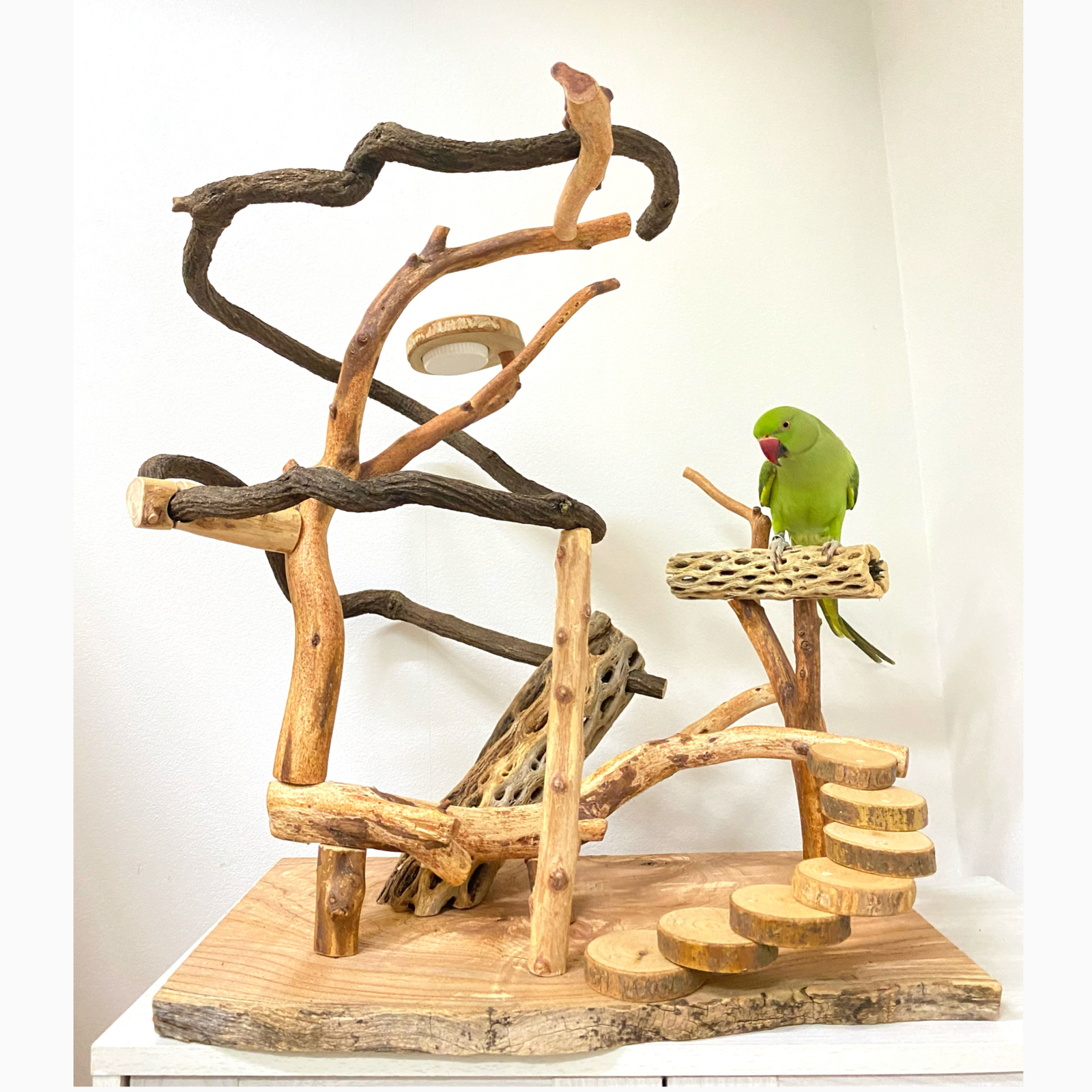 展示用】自然木（ツタ）のぐるぐるバードアスレチック - 鳥豆堂