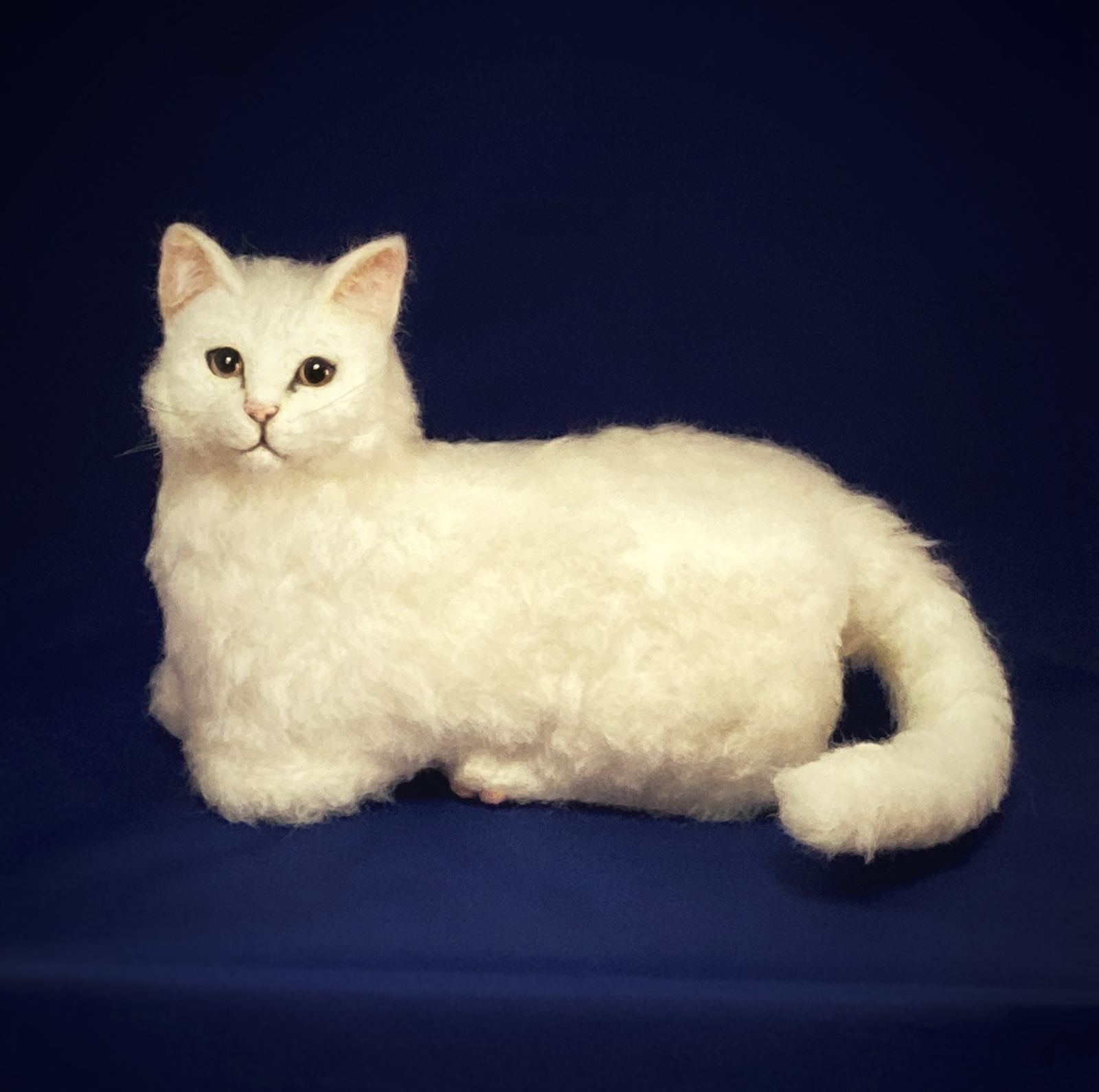 7d4e4e98f12fb5a15c689539d351b1