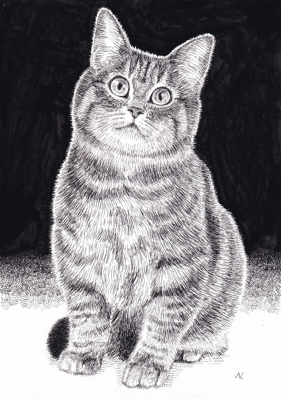 動物のペン画「皇帝ペンギン親子」B4サイズ - WANKOROTA'S GALLERY