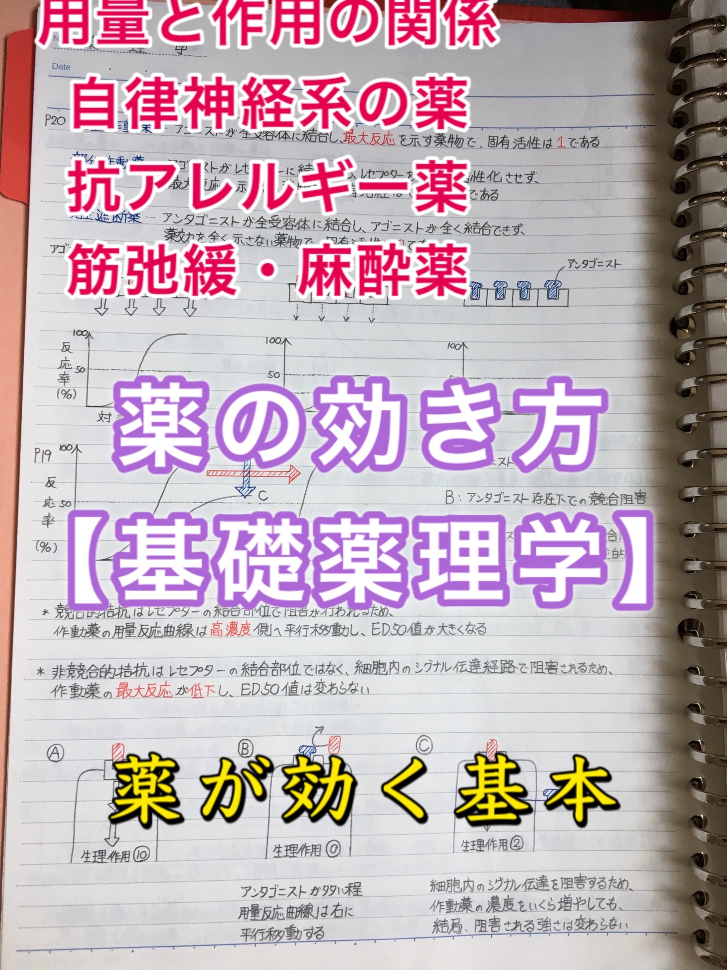 医療系学科定期試験、国家試験対策シリーズ【薬の作用の仕方（薬理学