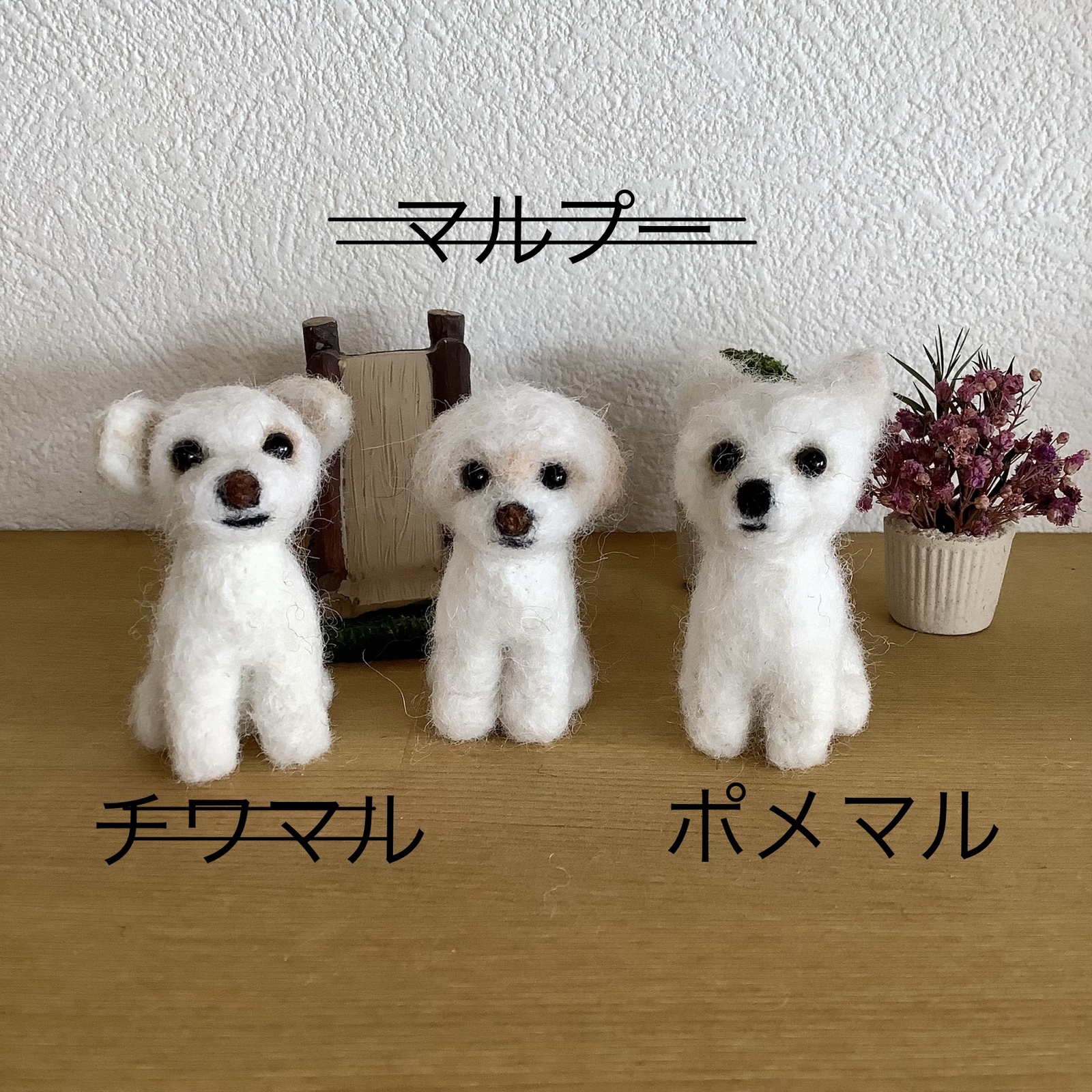 羊毛フェルトマスコット 吾輩は犬である マルチーズミックス（チワマル