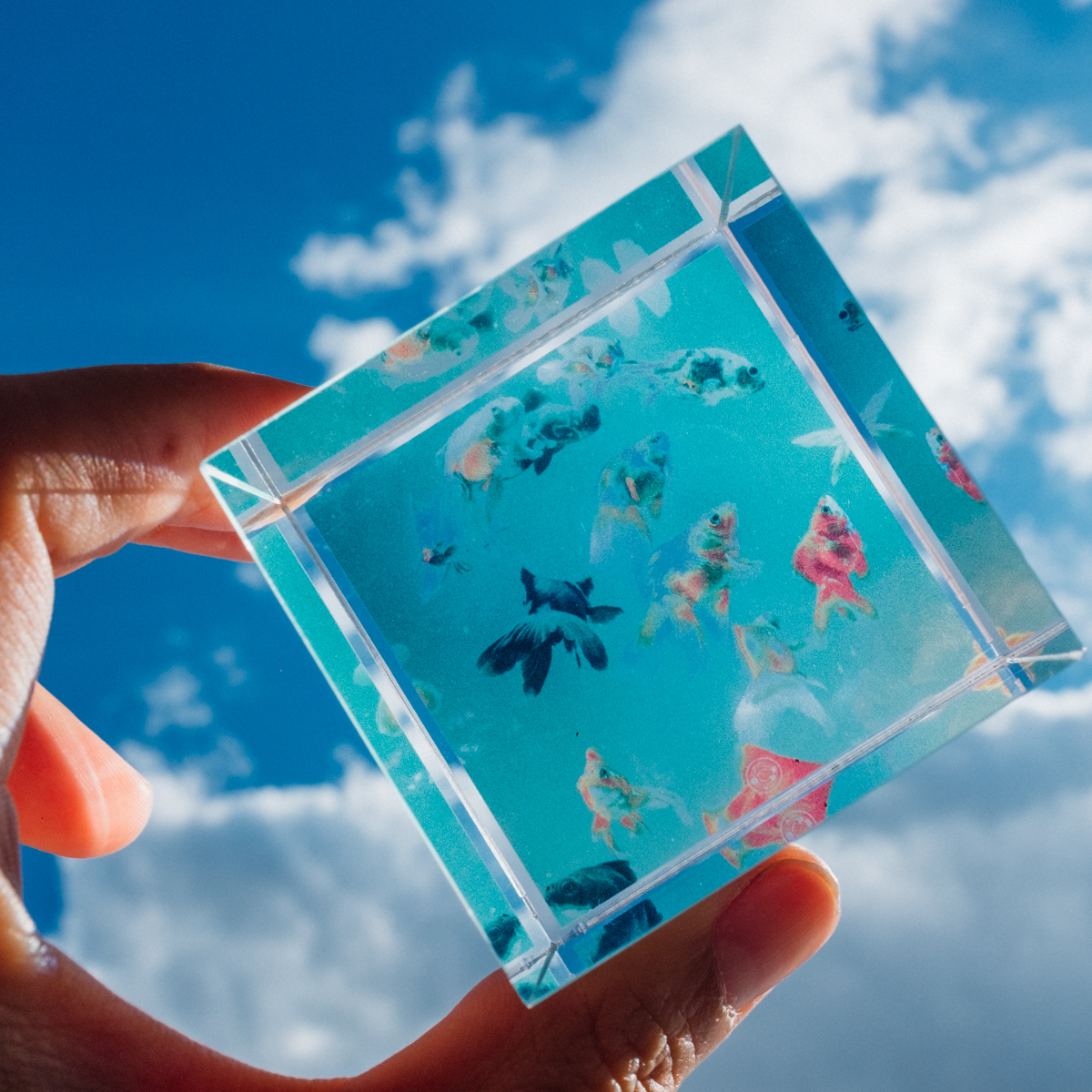 45626b9f37ce7b75ebd2156000ce71