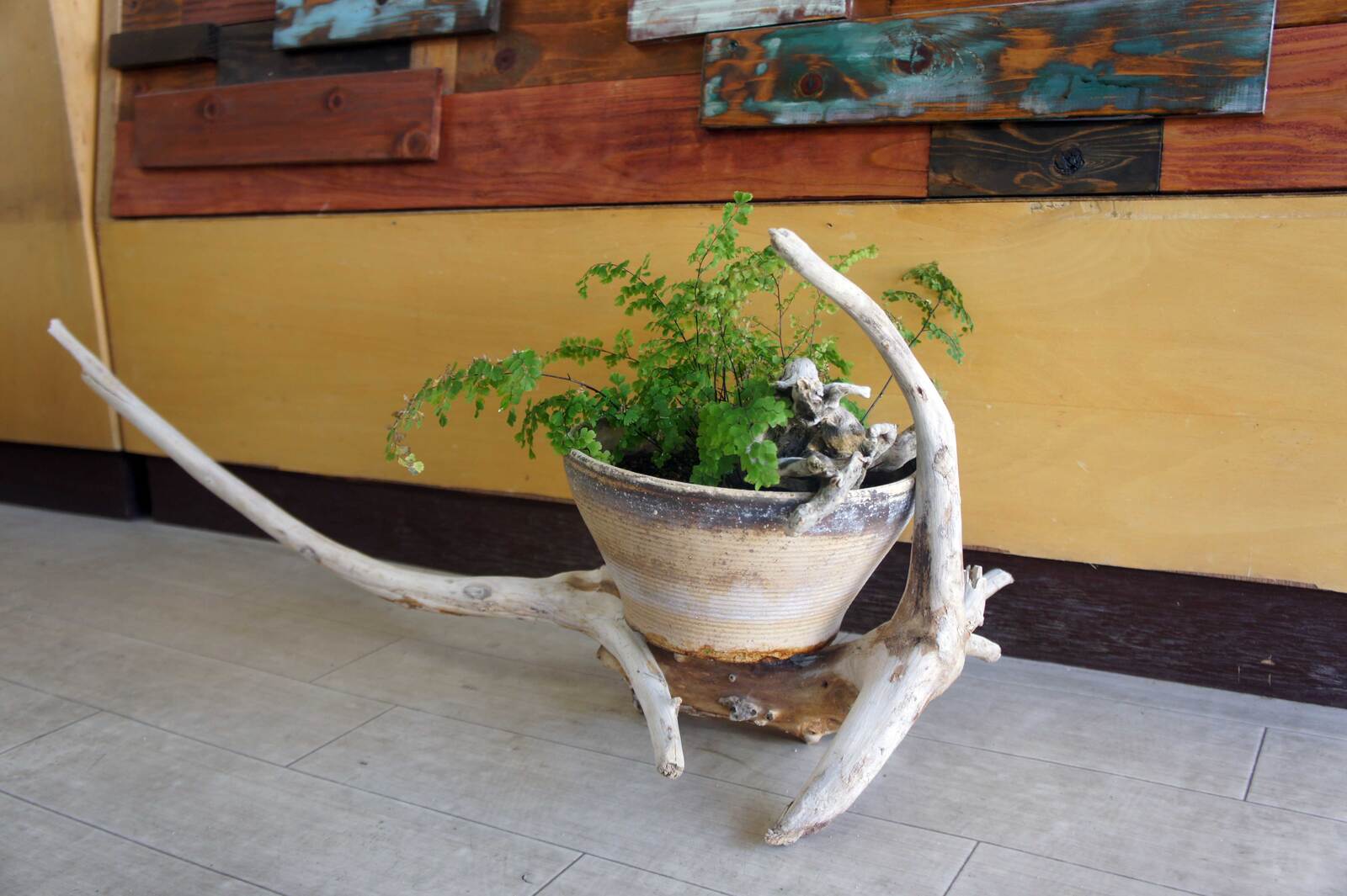 流木 大型サイズ インテリア オブジェ おしゃれ 爬虫類 登り木