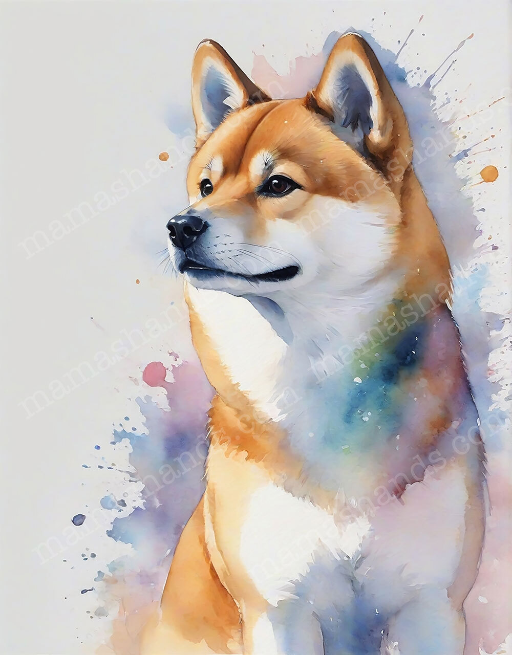 柴犬の水彩画 イラストアート（デジタルコンテンツ ダウンロード販売