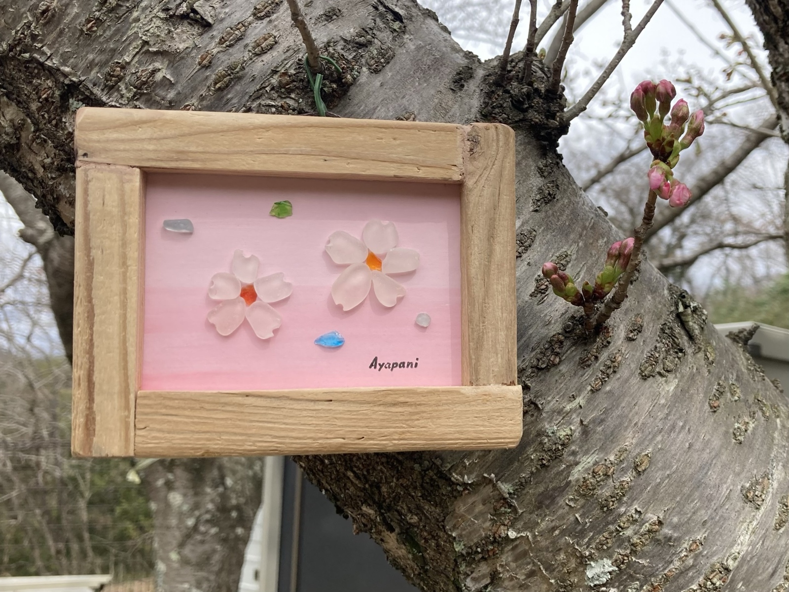 シーグラスアート「桜・お花見」 - AYAPANI-ART'S GALLERY | minne