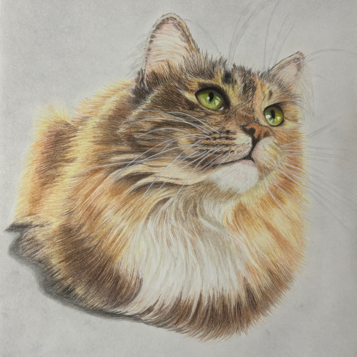 オーダーメイドねこの絵 うちの子アート ペット似顔絵 ねこ - UCHINOKO