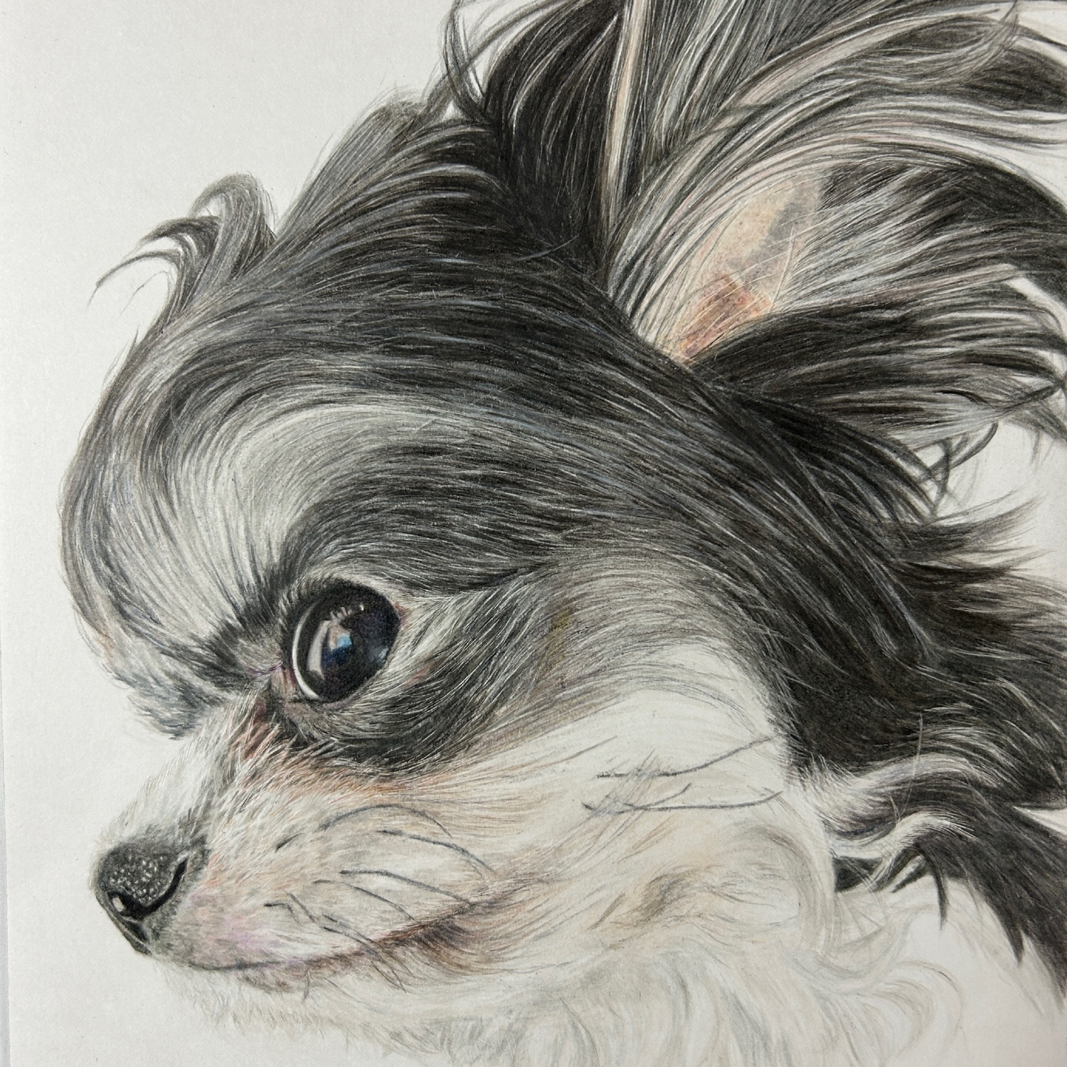 オーダーメイド犬の絵 うちの子アート ペット似顔絵 いぬ - UCHINOKO