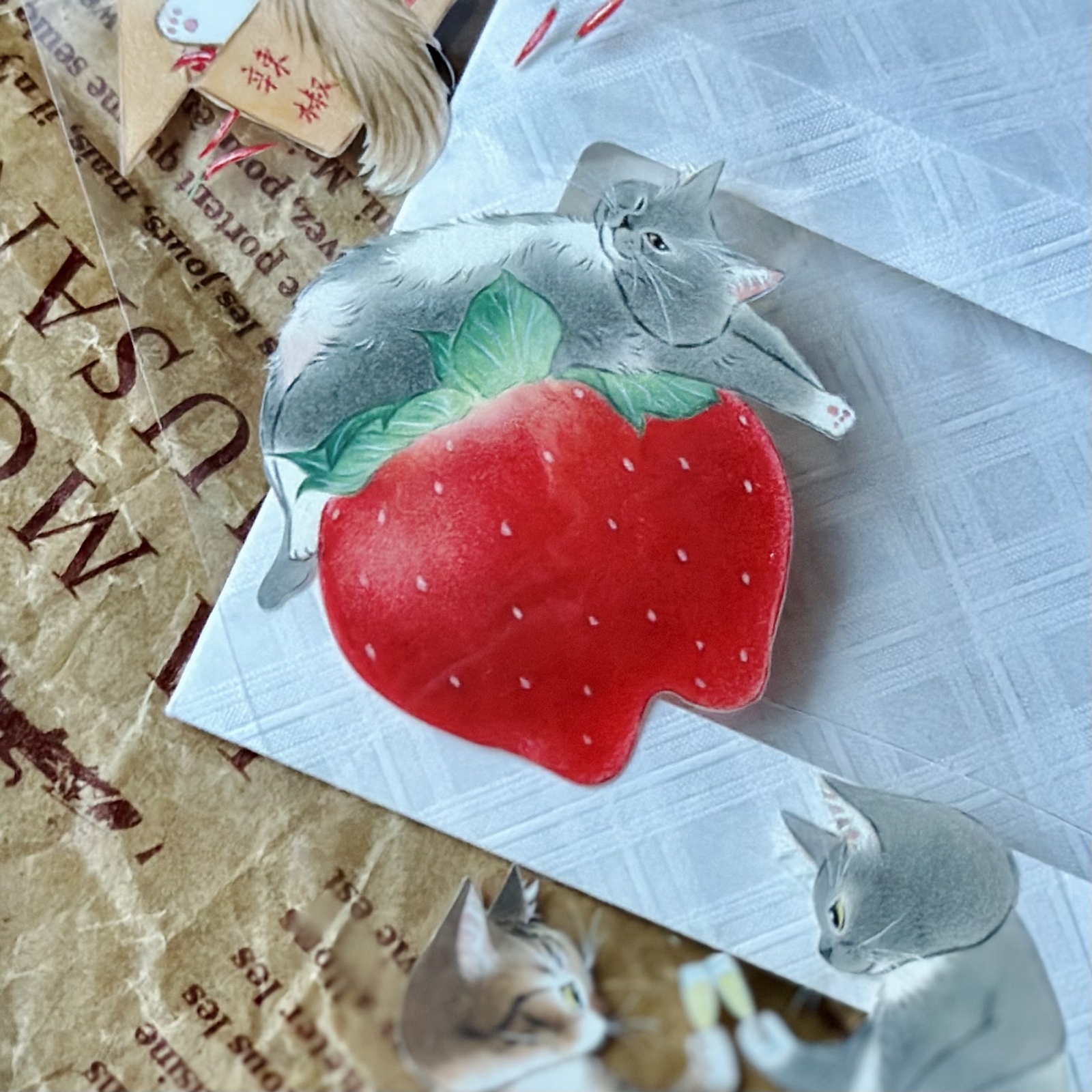 補補貓・大衛煮愛] [DW-003] 料理菓實廚房 クリアPETテープ 切り売り