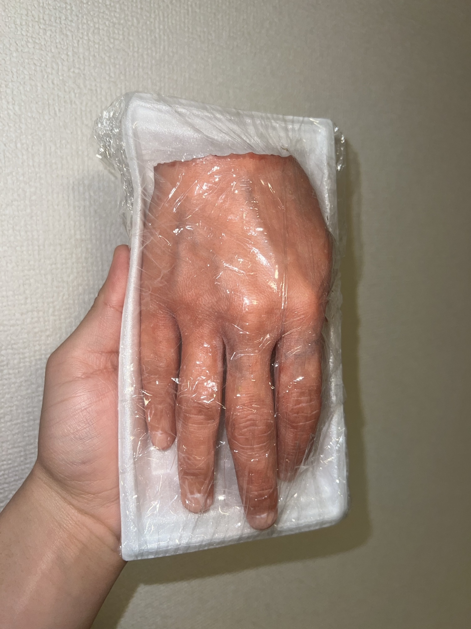 美大生の手 - HIRASAWAX'S GALLERY | minne byGMOペパボ 国内最大級の