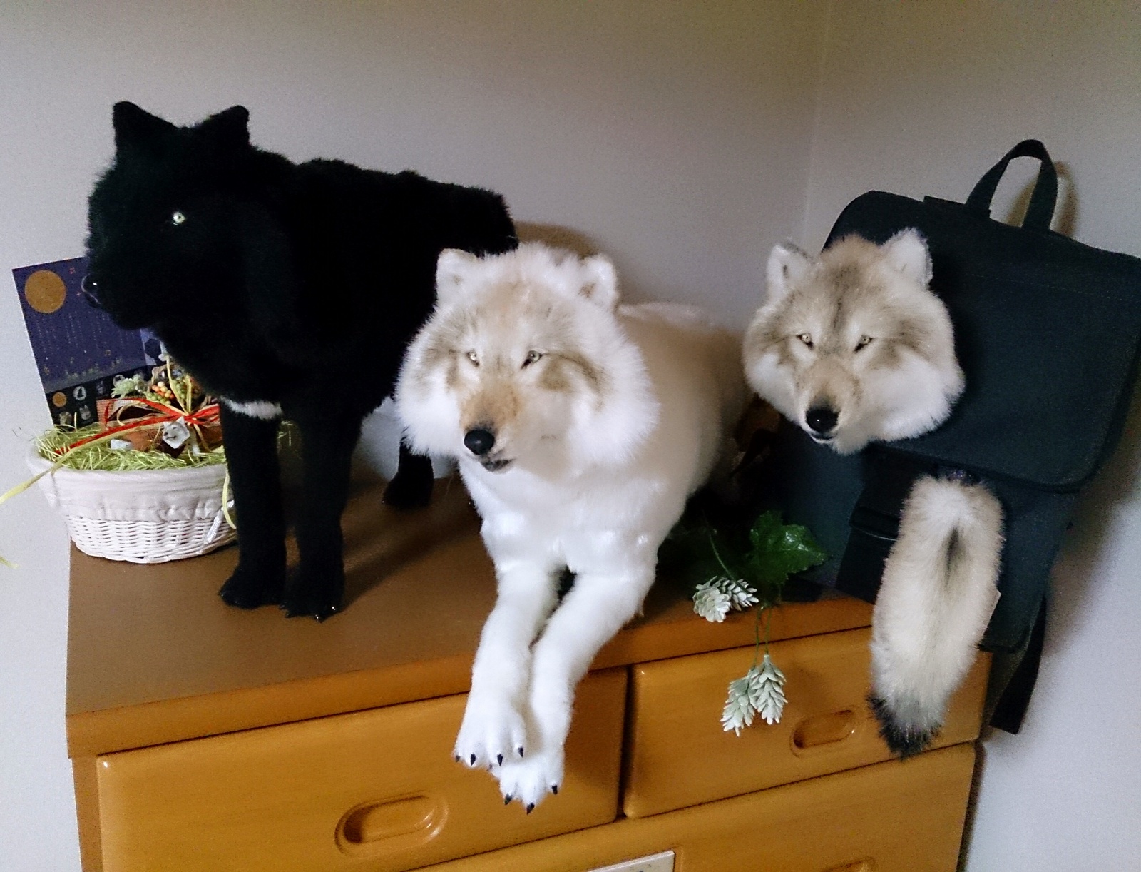 狼 おおかみのリアルなぬいぐるみ たち♪ - HIDING-WOLF'S GALLERY