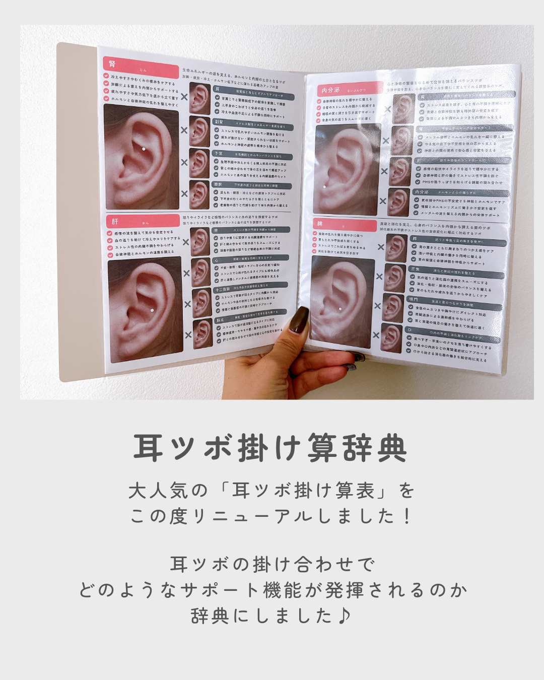 耳ツボ掛け算辞典 vol.2 | 耳ツボ辞典 | 耳つぼマップ - mimy17