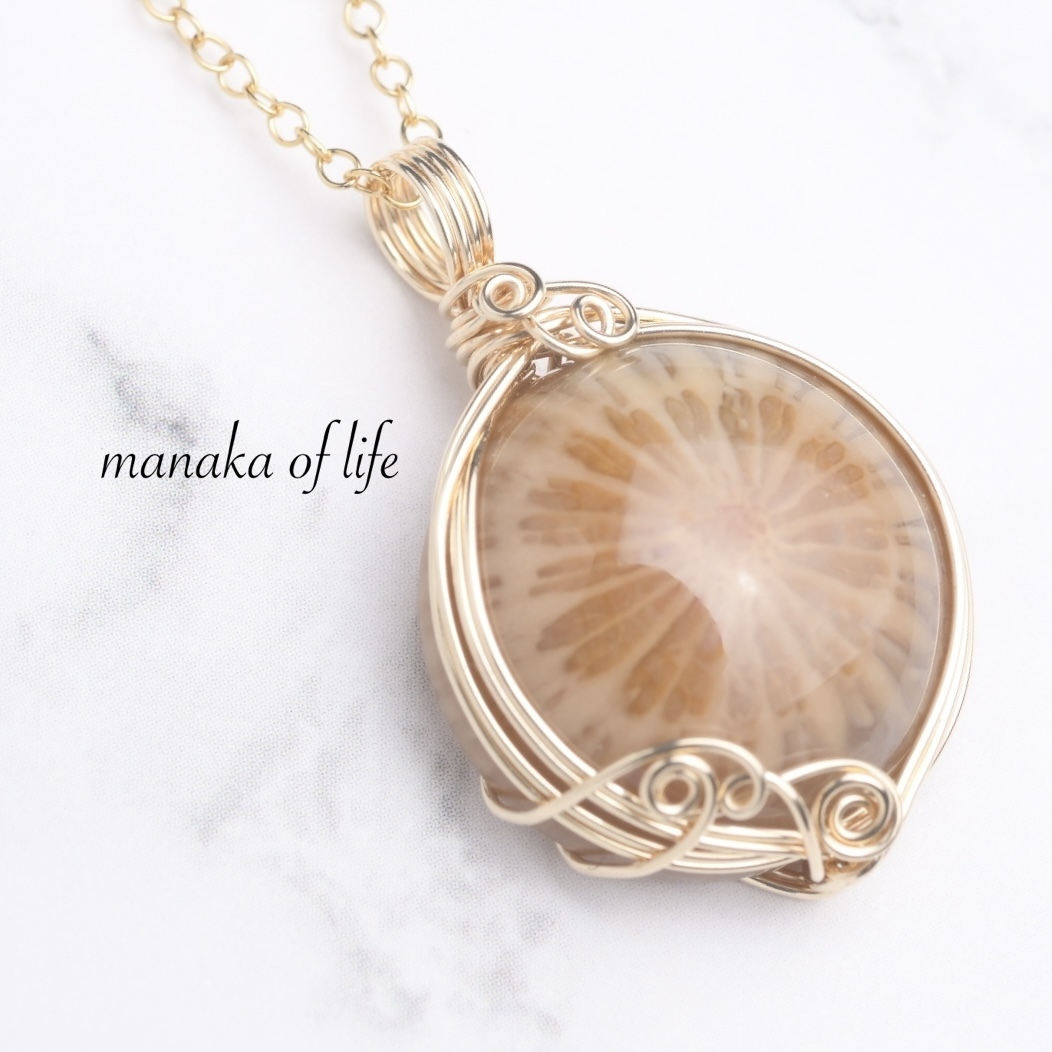 フォッシルコーラルの人気通販 | minne byGMOペパボ 国内最大級の