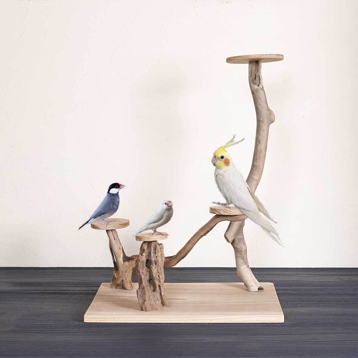 バードアスレチックの人気通販 | minne byGMOペパボ 国内最大級の