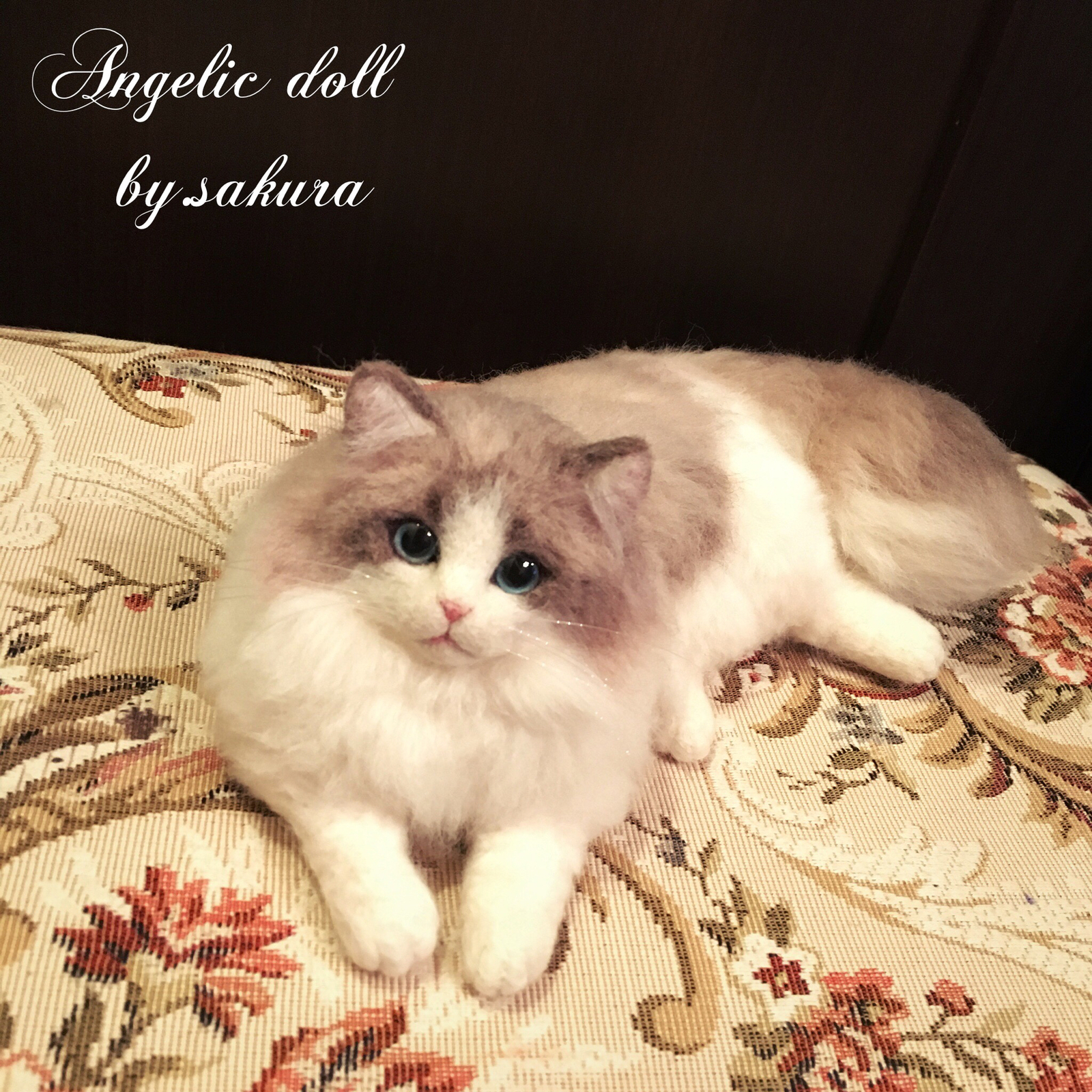 再販 羊毛フェルト ラグドール 猫 - Angelic doll(stone)GALLERY