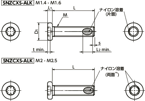 SNZCXS-M2-3-ALK｜ヘクサロビュラ穴付き精密機器用 平小ねじ（ナイロン