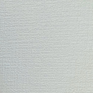 R*H様 プリパラ台湾版 裏版権絵 らぁら ドリームパレードプリンセス