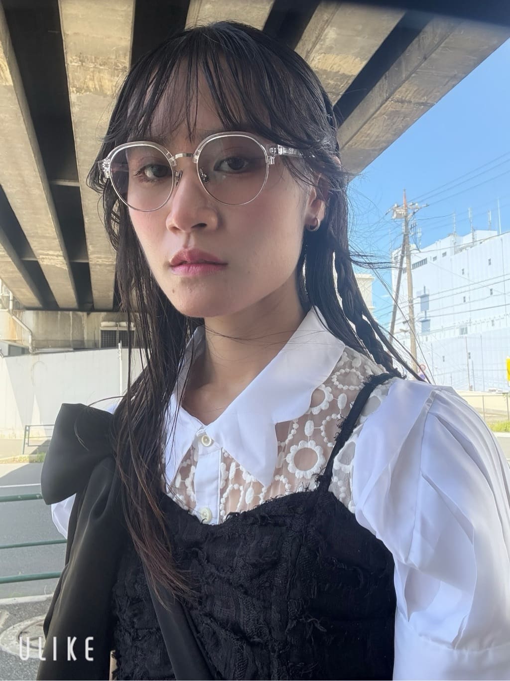 mai hươngのDisney Dogs&Cats デザイン / ラッキー モデルの