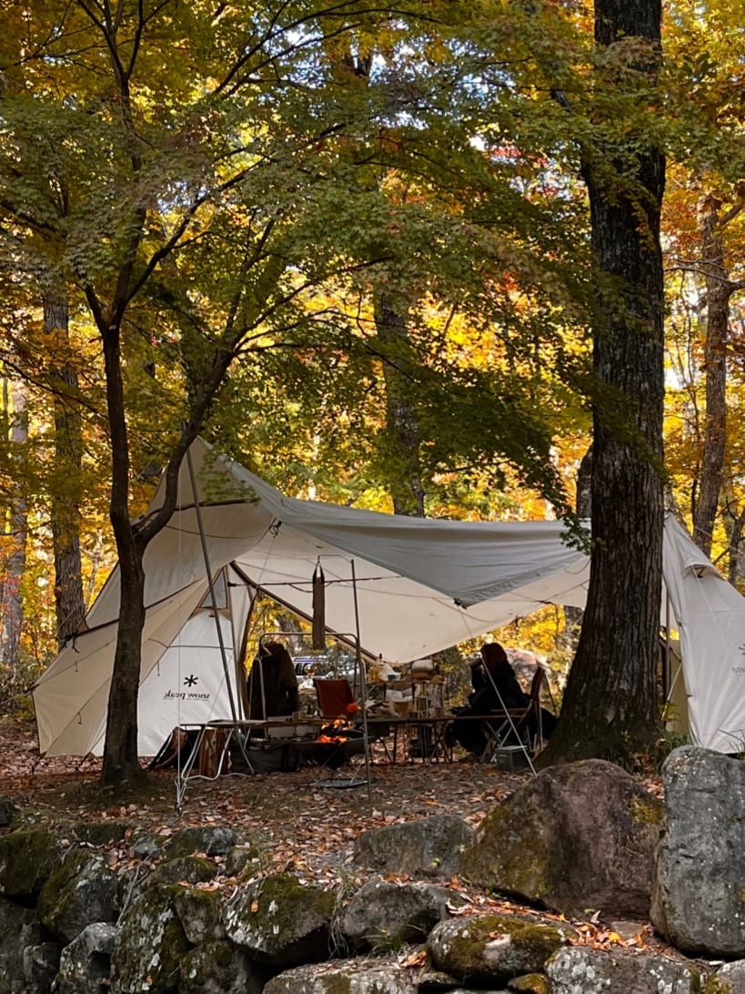 二又ポール&跳ね上げポール付き】ランドステーションL アイボリー 二又