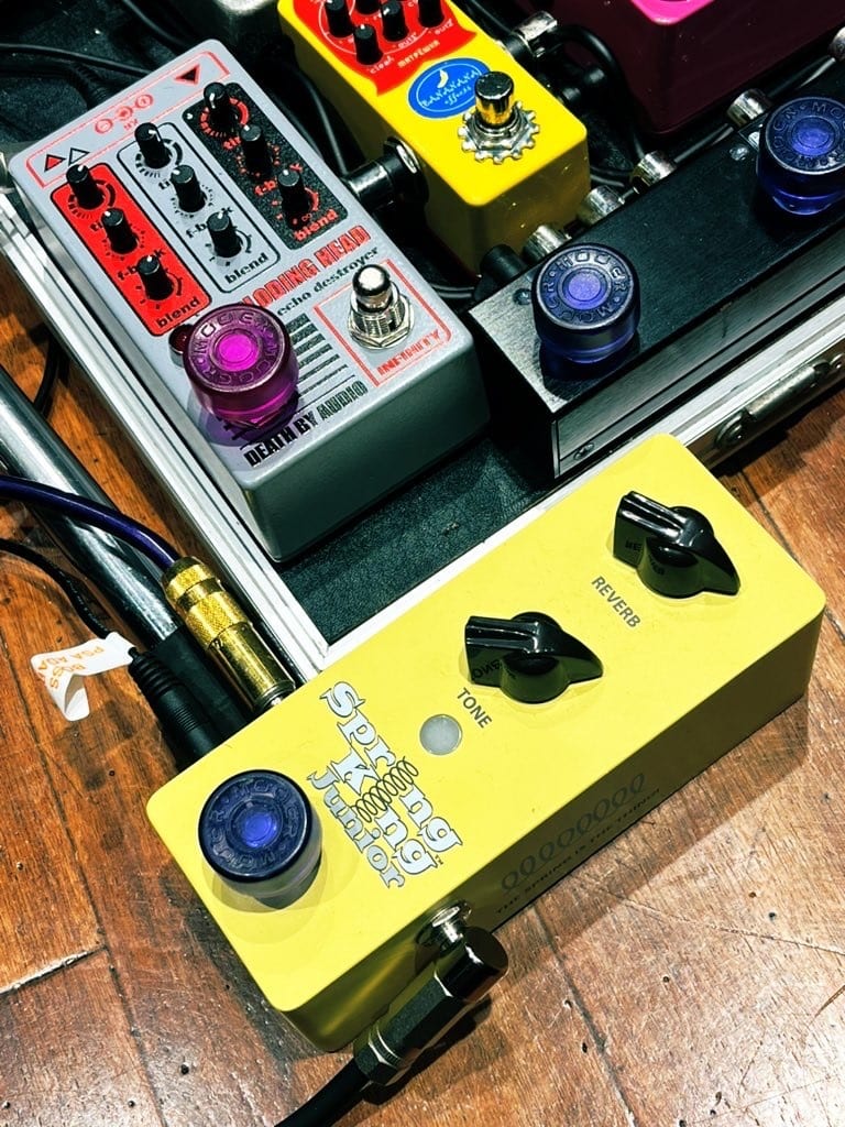 限定カラー ProCo RAT2 “Yellow Edition” Pro-co】イケベ45周年を記念