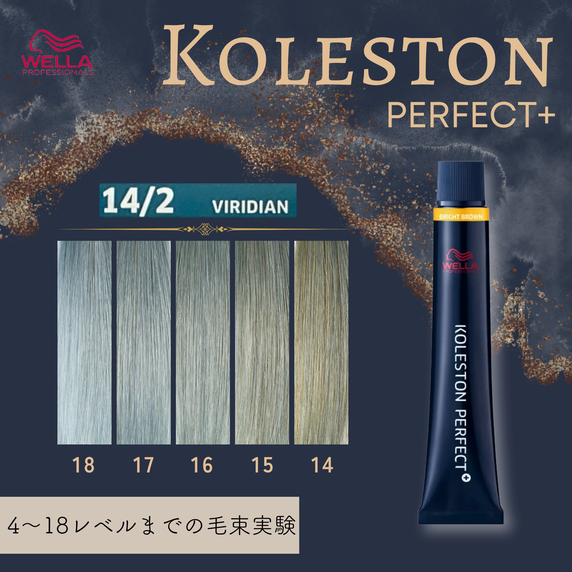 コレストンパーフェクトプラス 14/2(ビジリアン) 80g 《ファッション