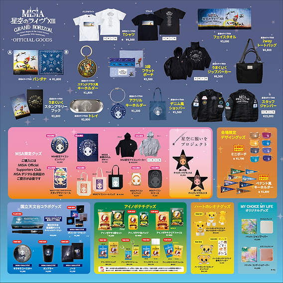 MISIAグッズ 星空のライヴ衣装付きスペシャルフルーム 25th