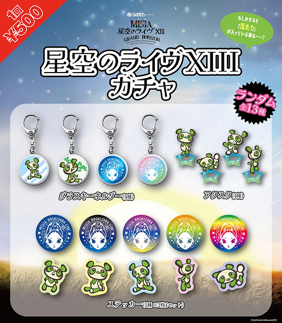 MISIAグッズ 星空のライヴ衣装付きスペシャルフルーム 25th