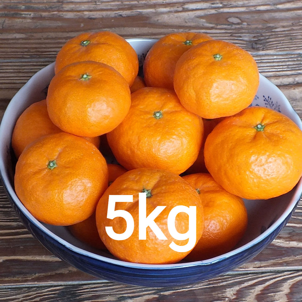 味香みかん” 500ml瓶 2種飲み比べセット（送料込・税込） | にっぽんの