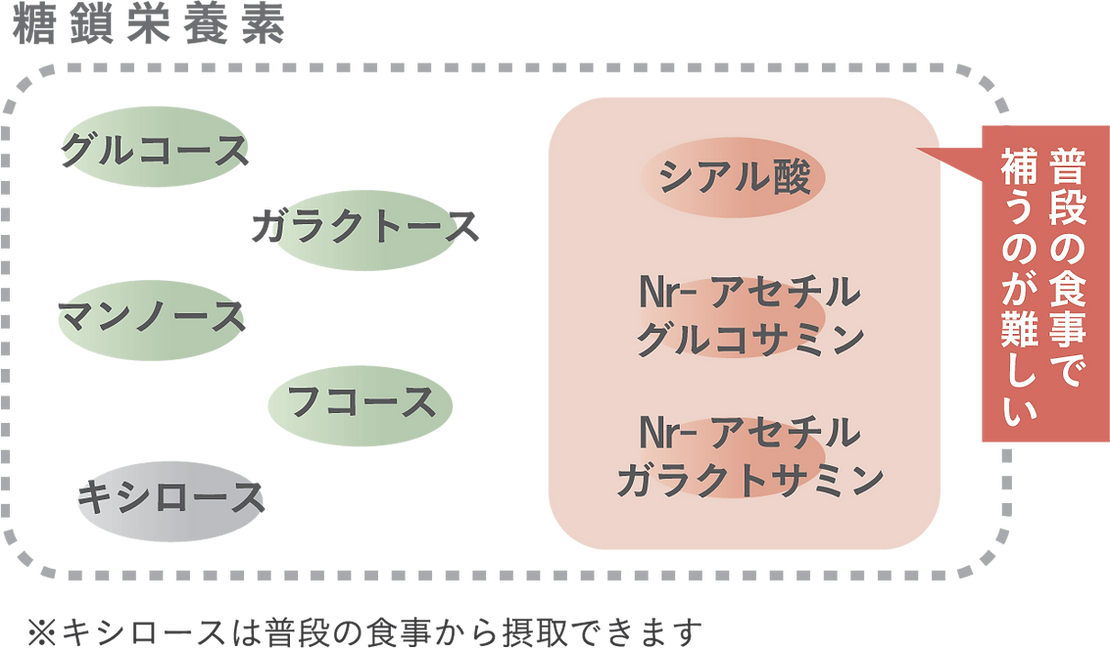 HANATSUBAME美容ゼリー | 東京自由が丘の生花フラワーレッスンを通し花