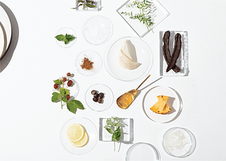 HANATSUBAME｜花ツバメ