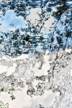 Yoshinori Mizutani | 水谷吉法 | HDR_nature