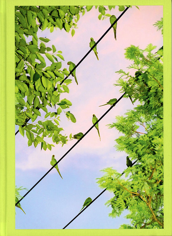 Yoshinori Mizutani | 水谷吉法 | Photobooks Tokyo Parrots