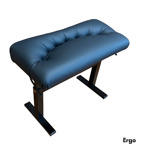 Andexinger / ｱﾝﾃﾞｸｼﾝｶﾞｰ【 Ergo 】 | ピアノ調律すぴあなーと