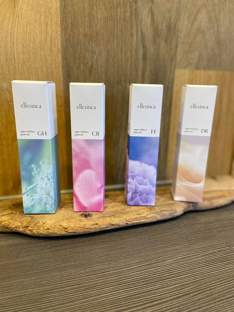 エルシンカ シャンプー トリートメント詰め替え 新品未開封 GH 【公式