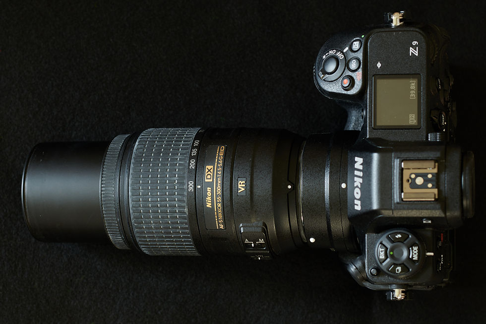 Nikkor 55-300mm f/4.5-5.6G AF-S ED VR DX Review