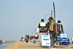 ルール・料金 | 秋田港釣り（北）防波堤