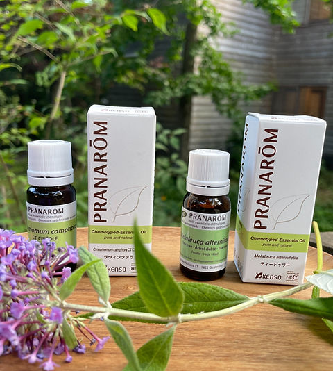 プラナロム社のケモタイプ精油（ティートゥリー／ラヴィンツァラ