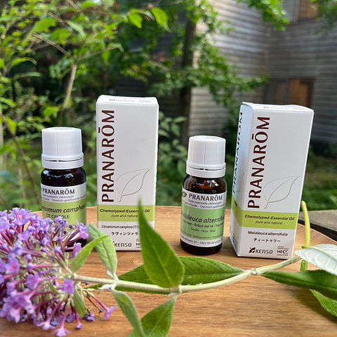 ✧hana✧様PRANAROM アルガンオイル他合計10点精油