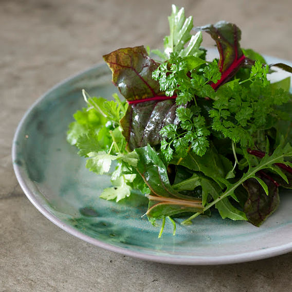 クリスチャンヌペロションの器