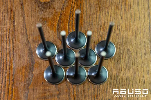 Kawasaki ZX7R 91/95 ZX9R 94/97 Stock Intake Valves | ABUSO