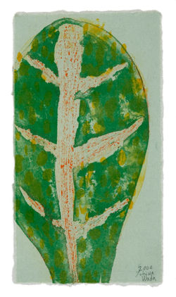 Gallery | wadatokiwawebsite