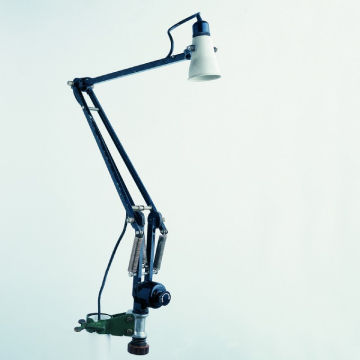 Anglepoise | Lynnbelys
