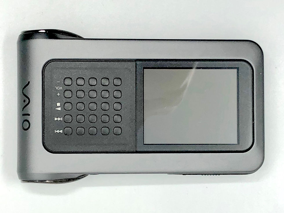 Sony Walkman VAIO VGF-AP1L 40GB Digital Audio Player