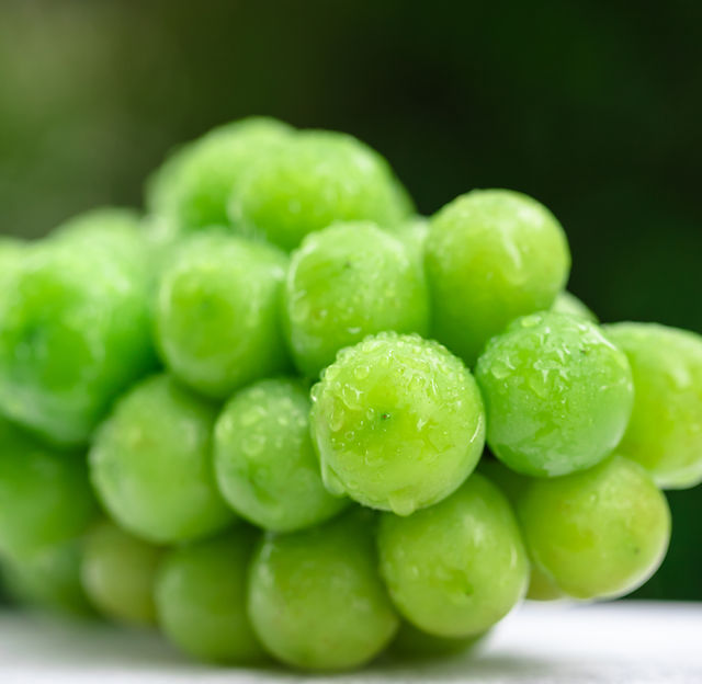 シャインマスカット | 冨士一農園 | Tokushima