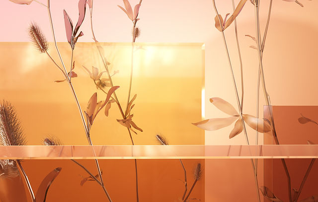 ショップ | 日本遠赤外線株式会社 公式ページ