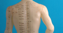 セラピューティック・リフレクソロジー・ジャパン | Therapeutic