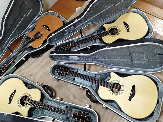 フォルヒG23 LCCT ELITE（Furch） フォルヒG23 LCCT ELITE フォルヒG23