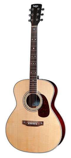 SAGA A1-G Repair model | Ayers Japan