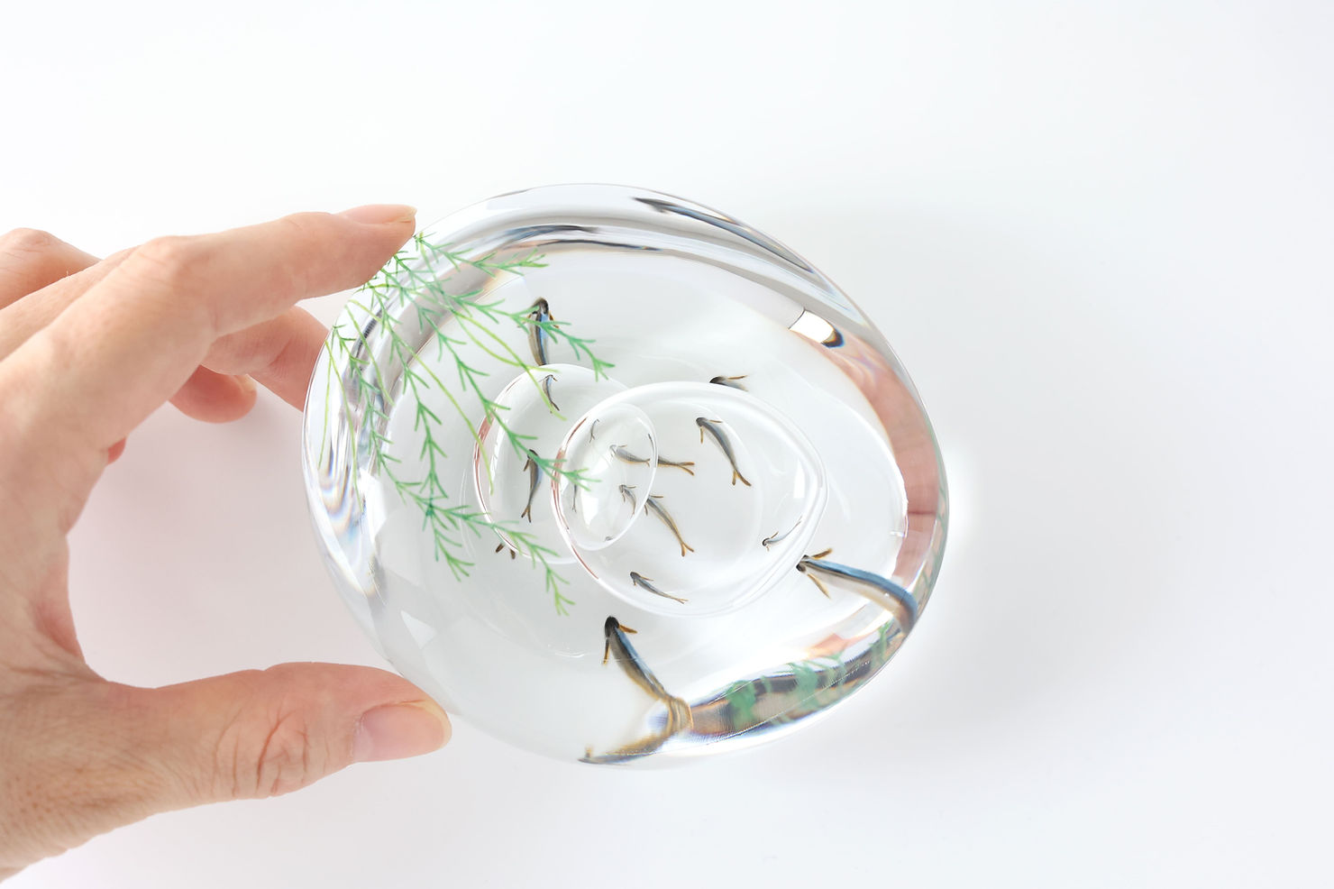 久保裕子×津坂陽介 -日の出ガラス工芸社- 展 】より、水玉-鮎