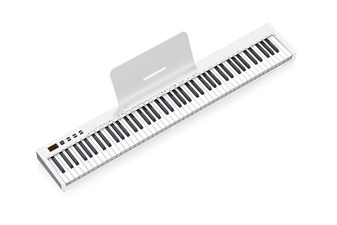 SWAN-S 白 | NikoMaku