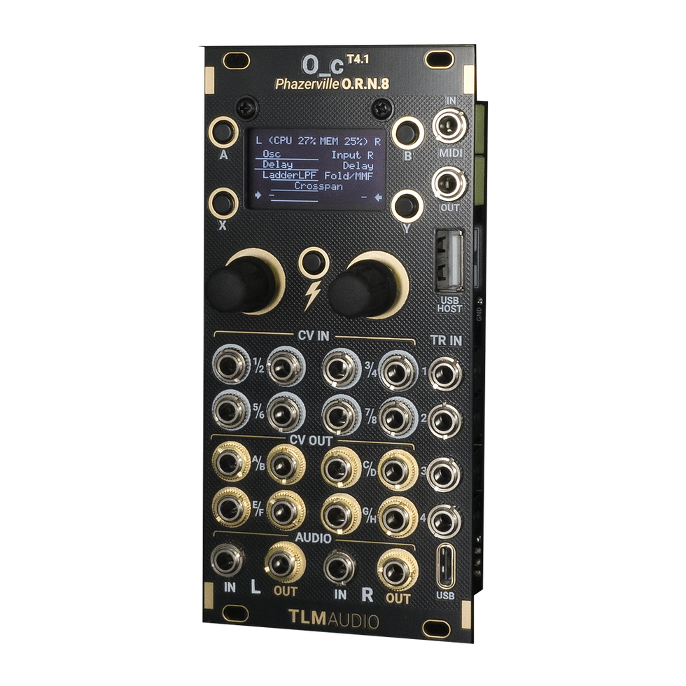 GRAINS (Mutable Instruments Clouds Clone) | TLM Audio